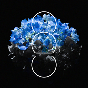 床上啪啪第三集
