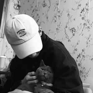 床上啪啪第三集
